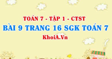 Bài 9 trang 16 SGK Toán 7 tập 1 Chân trời sáng tạo